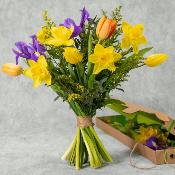 Spring Bouquet - letterbox flowers Mixed | Send Flowers | Free Delivery