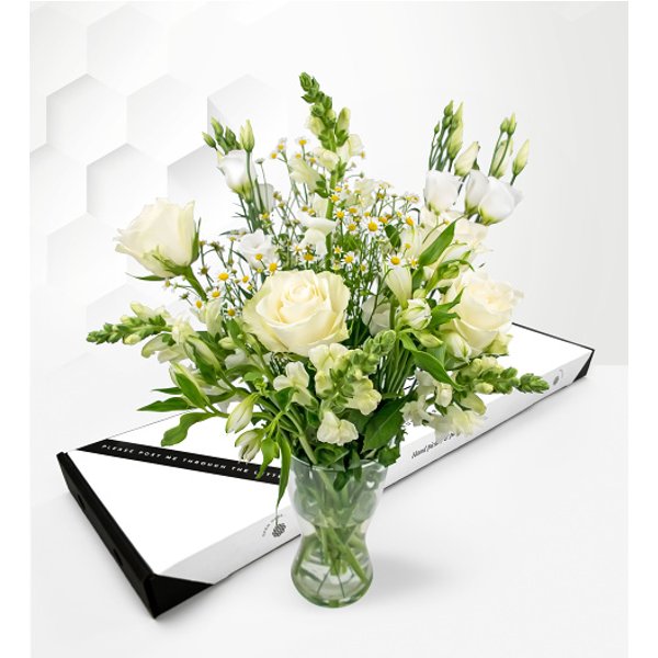 Elegant Avalanche – Letterbox Flowers – Letterbox Flowers UK – Send Letterbox Flowers – Letterbox Flowers UK