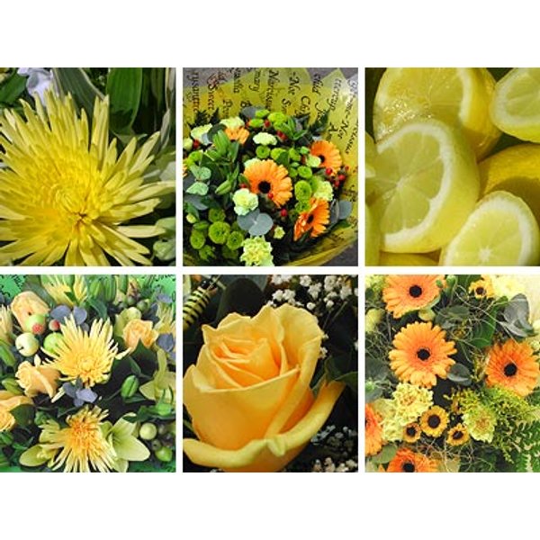 Yellow Flower Collection