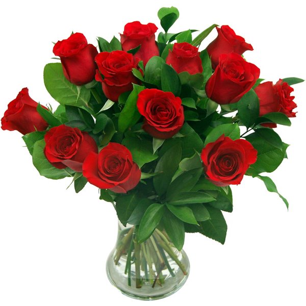 12 Red Roses - True Romance