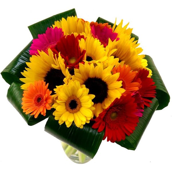 Sunflower and Germini Bouquet