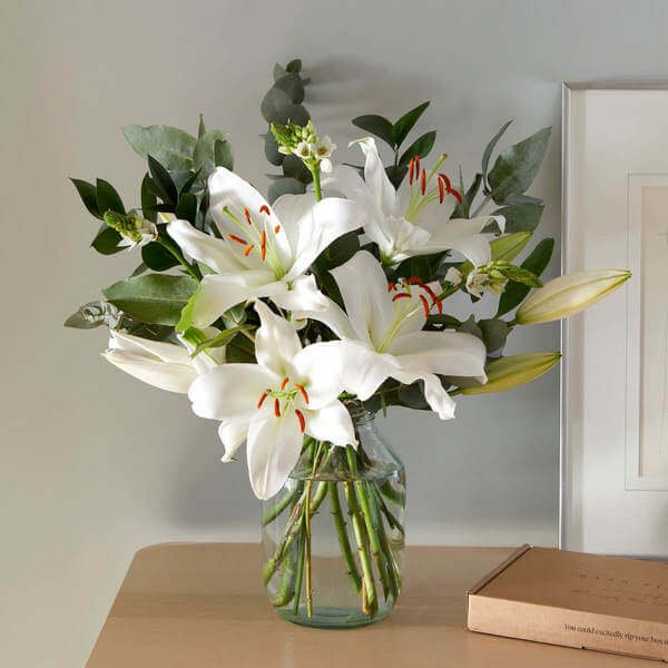 Flowers - Letterbox Flowers - Flower Delivery - Send Flowers - Foliage - Lilies - The Lily