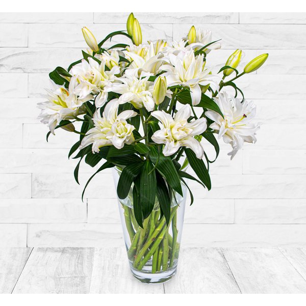 Double-Flowering Lilies
