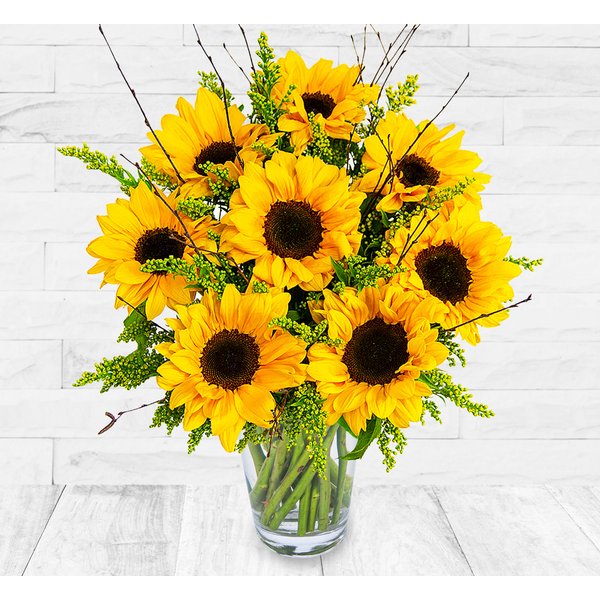 British Sunflowers