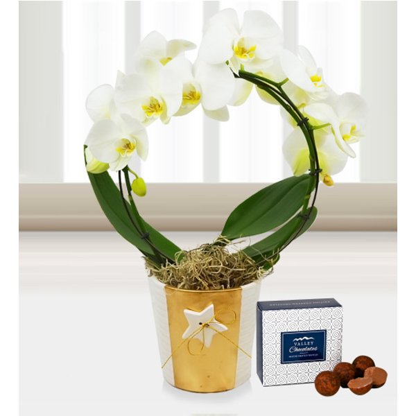 Holiday Orchids - Free Chocs