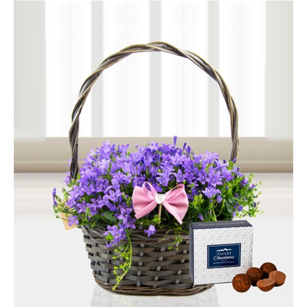 Mother's Day Basket - Free Chocs
