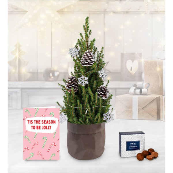 Luxury Christmas Tree with Card