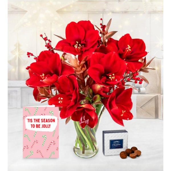 Amaryllis Allure with Card