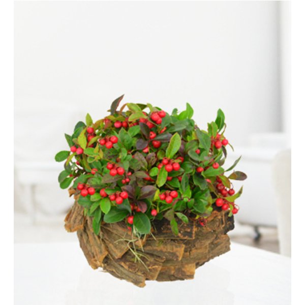 Rustic Red Berry Display - Free Chocs