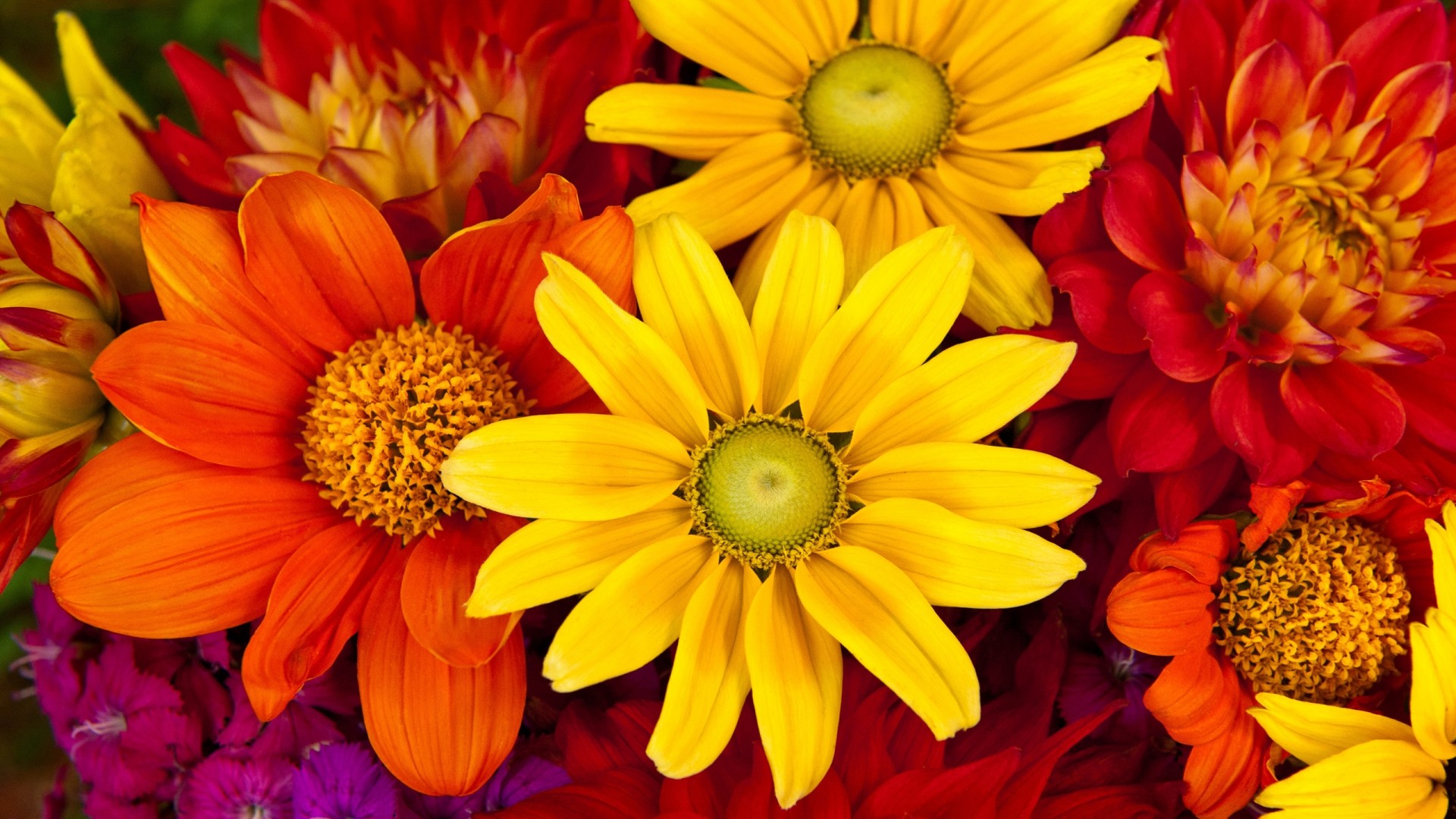 Flash Sale! Get 15% Off The Floral Ratatouille Bouquet – was £34.99, now £29.74 – Serenata Flowers Voucher Code Flash Sale! Get 15% Off The Floral Ratatouille Bouquet – was £34.99, now £29.74 – Serenata Flowers Voucher Code