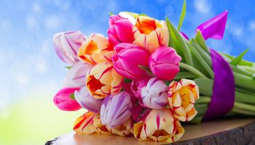 25% off all bouquets for 48 hours only at Blossoming Gifts – Blossoming Flowers and Gifts Voucher Code